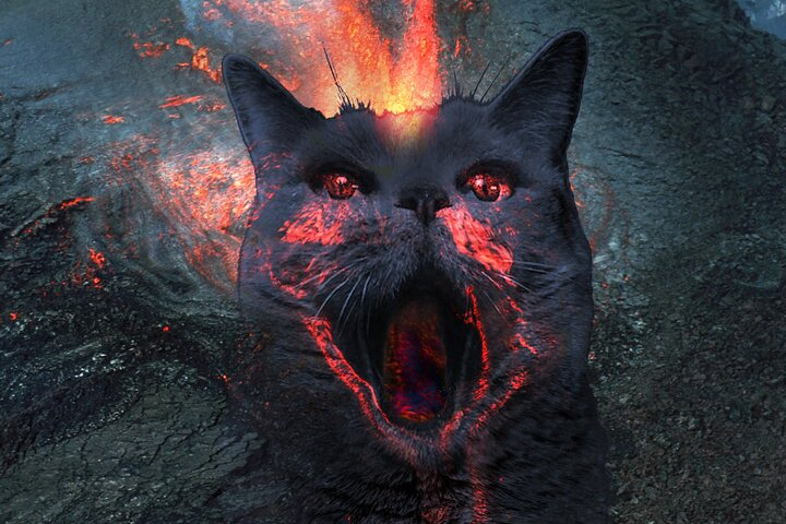 Creative Soul Scavenger Hunt( Kona Big island Hawaii) - Photo 1 of 7